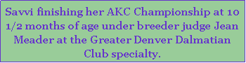 Text Box: Savvi finishing her AKC Championship at 10 1/2 months of age under breeder judge Jean Meader at the Greater Denver Dalmatian Club specialty.  