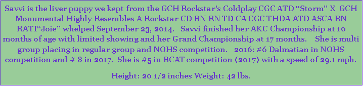 Text Box: Savvi is the liver puppy we kept from the GCH Rockstars Coldplay CGC ATD Storm X  GCH Monumental Highly Resembles A Rockstar CD BN RN TD CA CGC THDA ATD ASCA RN RATIJoie whelped September 23, 2014.   Savvi finished her AKC Championship at 10 months of age with limited showing and her Grand Championship at 17 months.    She is multi group placing in regular group and NOHS competition.   2016: #6 Dalmatian in NOHS competition and # 8 in 2017.  She is #5 in BCAT competition (2017) with a speed of 29.1 mph.Height: 20 1/2 inches Weight: 42 lbs.