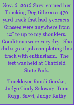 Text Box: Nov. 6, 2016 Savvi earned her Tracking Dog title on a 470 yard track that had 5 corners.  Grasses were anywhere from 12 to up to my shoulders.  Conditions were very dry.  She did a great job completing this track with enthusiasm.  The test was held at Chatfield State Park.Tracklayer Randi Garske, Judge Cindy Soloway, Tana Rugg, Savvi, Judge Kathy 