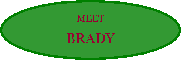 Oval: MEET BRADY